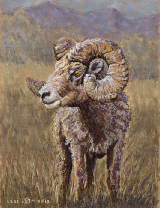 Giclee Print "Bitterroot Bighorn"