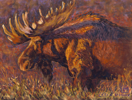 Giclee Print "Shadow Sunset Moose"
